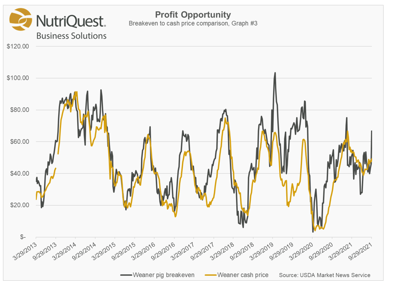 Cash Weaner Pig Prices Average 49.20, Up 1.78 For The Week Pork